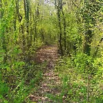 Κατάλυμα σε φάρμα Naturin - Vegan Eco Farm