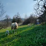 Naturin - Vegan Eco Farm Κατάλυμα σε φάρμα Lauriano