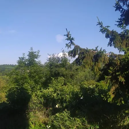 Séjour à la ferme Naturin - Eco Farm *