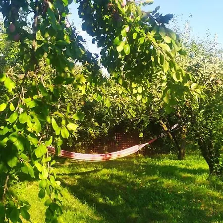 Naturin - Vegan Eco Farm 农家乐 *