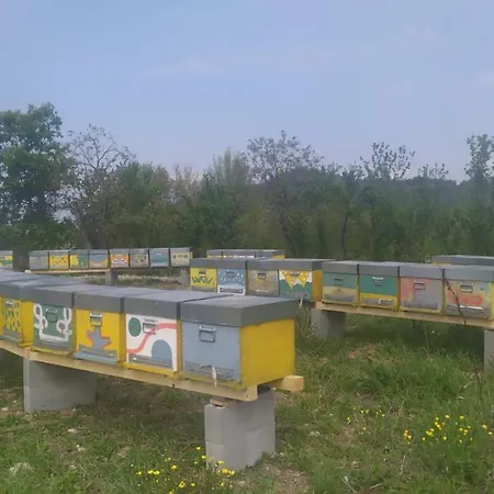Séjour à la ferme Naturin - Eco Farm Lauriano