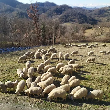 Naturin - Eco Farm *