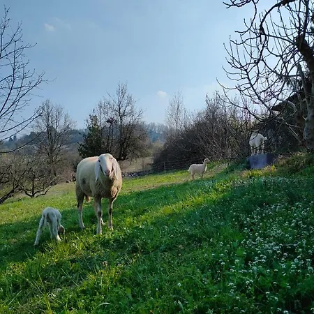 Naturin - Vegan Eco Farm Farmház Lauriano
