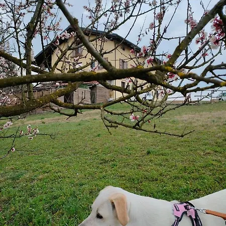 Naturin - Cascina Colombaro * Lauriano