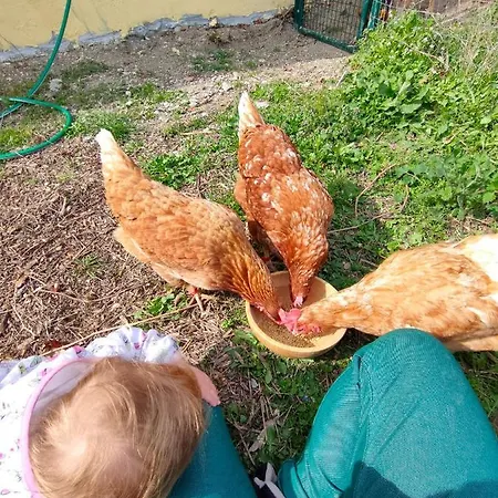 Naturin - Vegan Eco Farm *