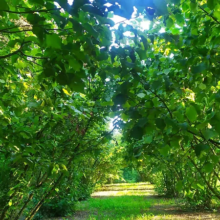 农家乐 Naturin - Vegan Eco Farm *