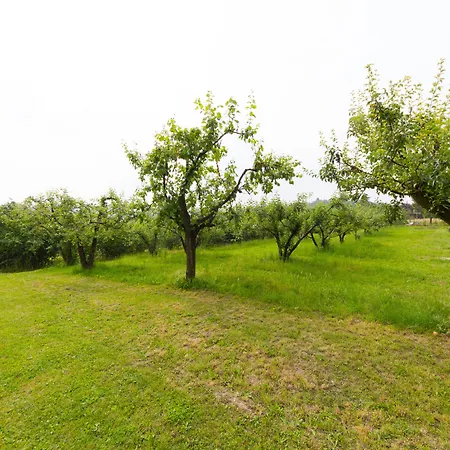 Naturin - Vegan Eco Farm * Lauriano
