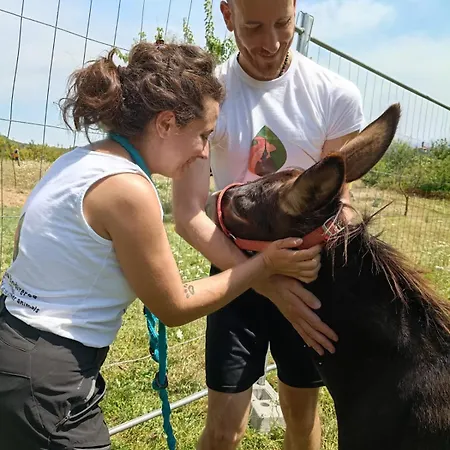 Naturin - Vegan Eco Farm Farmház *