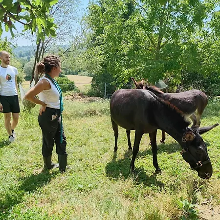 Bauernhof Naturin - Vegan Eco Farm *
