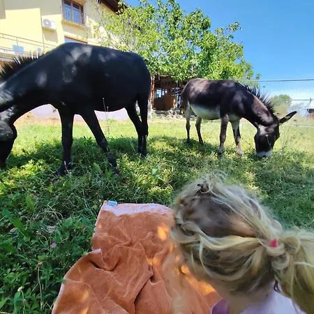 Naturin - Vegan Eco Farm *