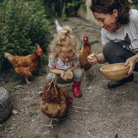 Vakantieboerderij Naturin - Vegan Eco Farm