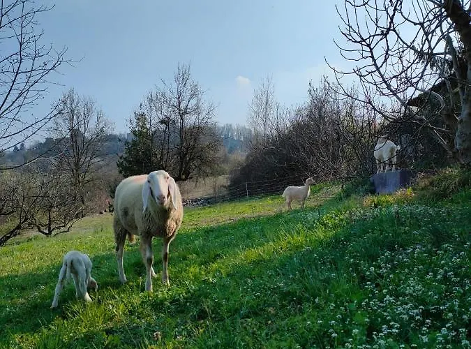 B&B Naturin - Vegan Eco Farm Farma Lauriano