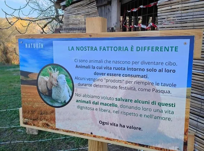 B&B Naturin - Vegan Eco Farm *