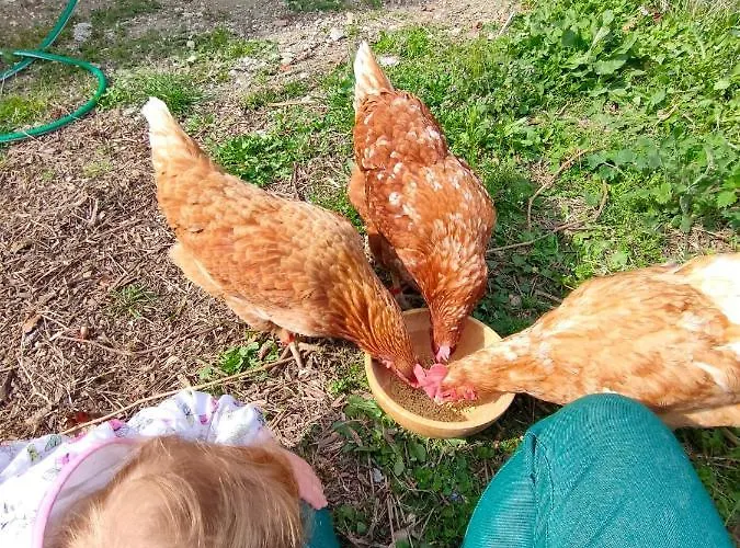 B&B Naturin - Vegan Eco Farm *