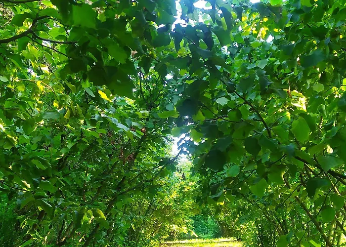Farma B&B Naturin - Vegan Eco Farm *
