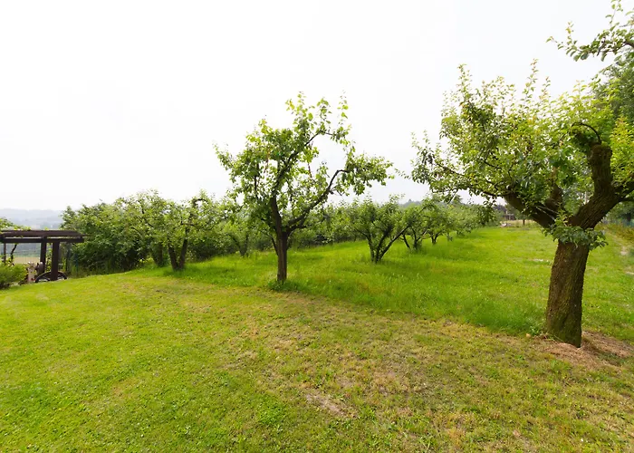 B&B Naturin - Vegan Eco Farm * Lauriano